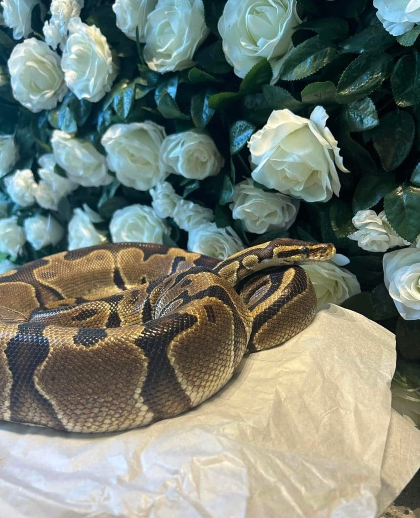 Riverside Discovery Center Scottsbluff Zoo