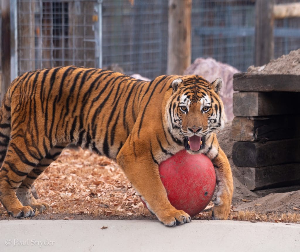 Riverside Discovery Center Scottsbluff Zoo