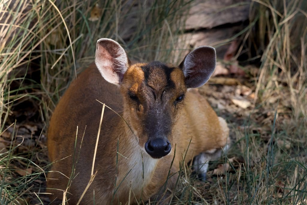 Riverside Discovery Center Scottsbluff Zoo