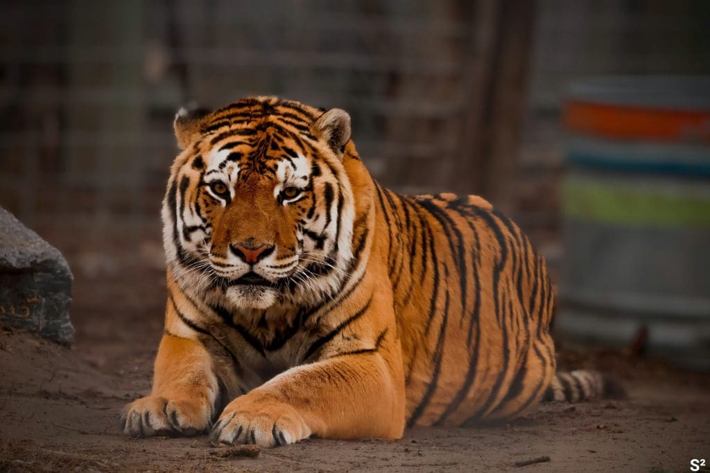 Riverside Discovery Center Scottsbluff Zoo