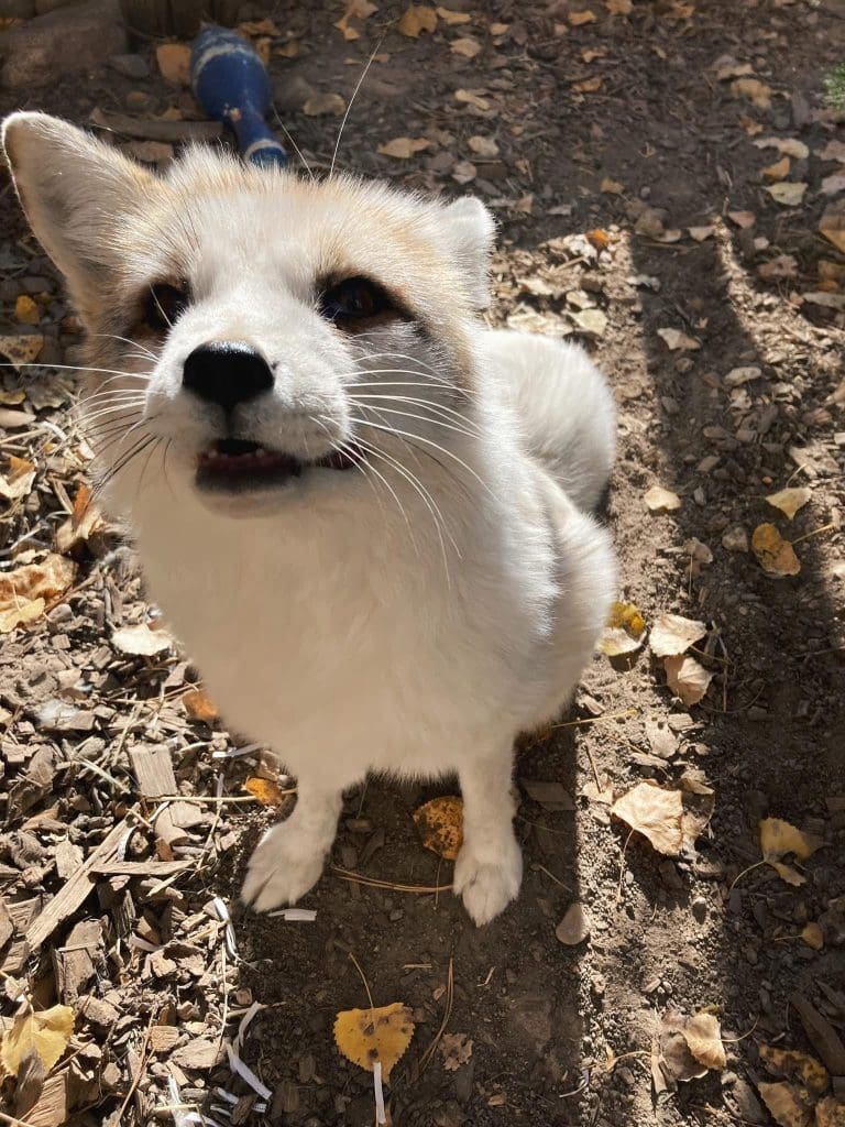 Riverside Discovery Center Scottsbluff Zoo
