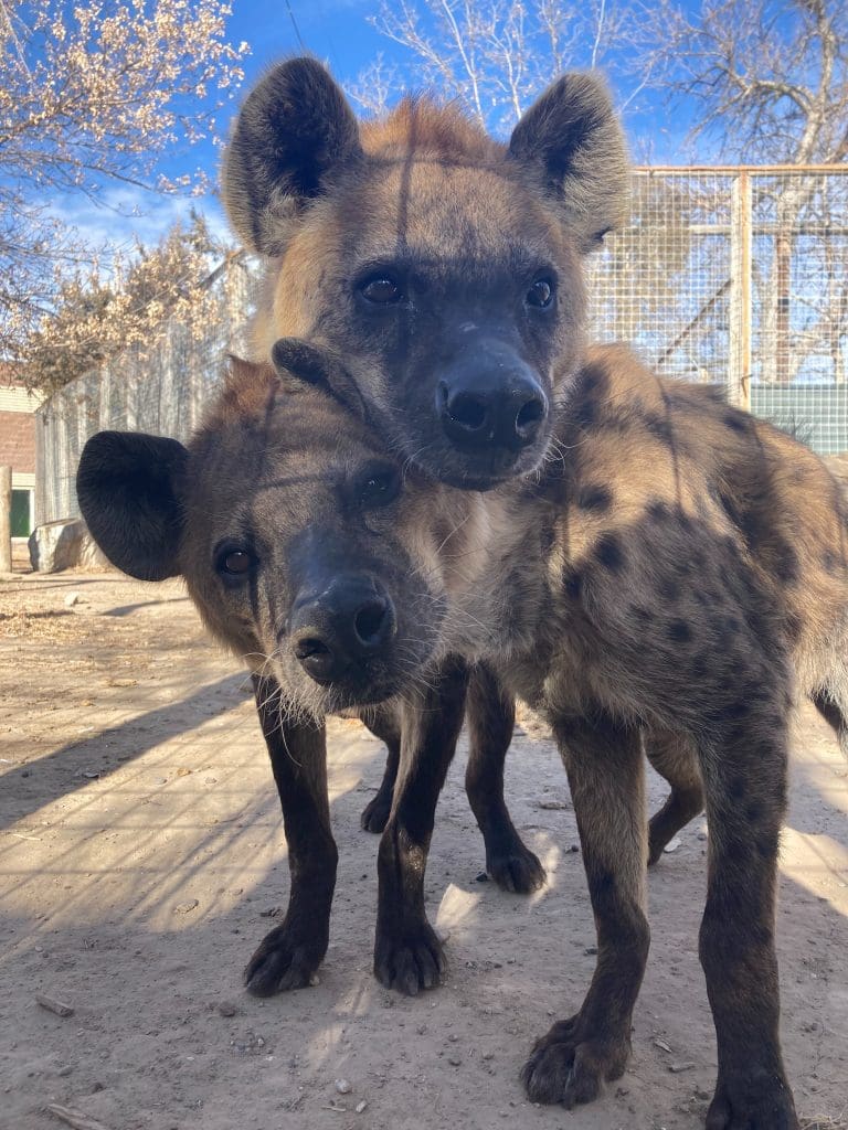 Riverside Discovery Center Scottsbluff Zoo