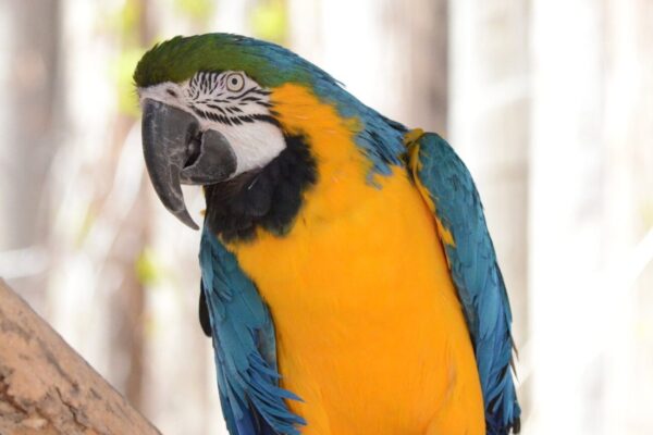 Riverside Discovery Center Scottsbluff Zoo
