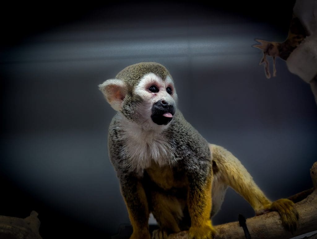 Riverside Discovery Center Scottsbluff Zoo